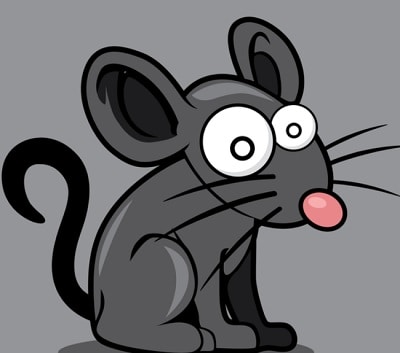 איך ללכוד חולדות ועכברים במקצועיות