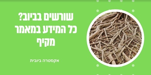 כל מה שצריך לדעת על שורשים בביוב